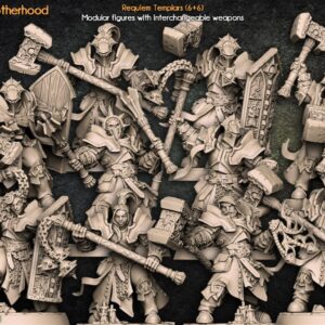 AE000410 Modular Requiem Templars -- Artisan Guild