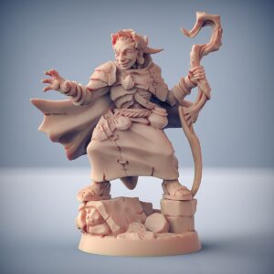 AE000245 Nanaari the Wise woman  -- Artisan Guild