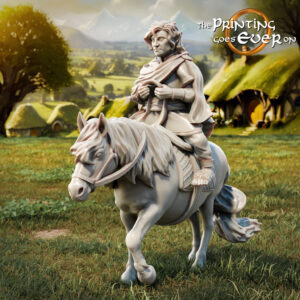 AE001258 Frodo en Pony -- The Pring Goes Ever On