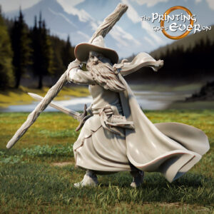 AE001323 Gandalf (2 modelos) -- The Pring Goes Ever On