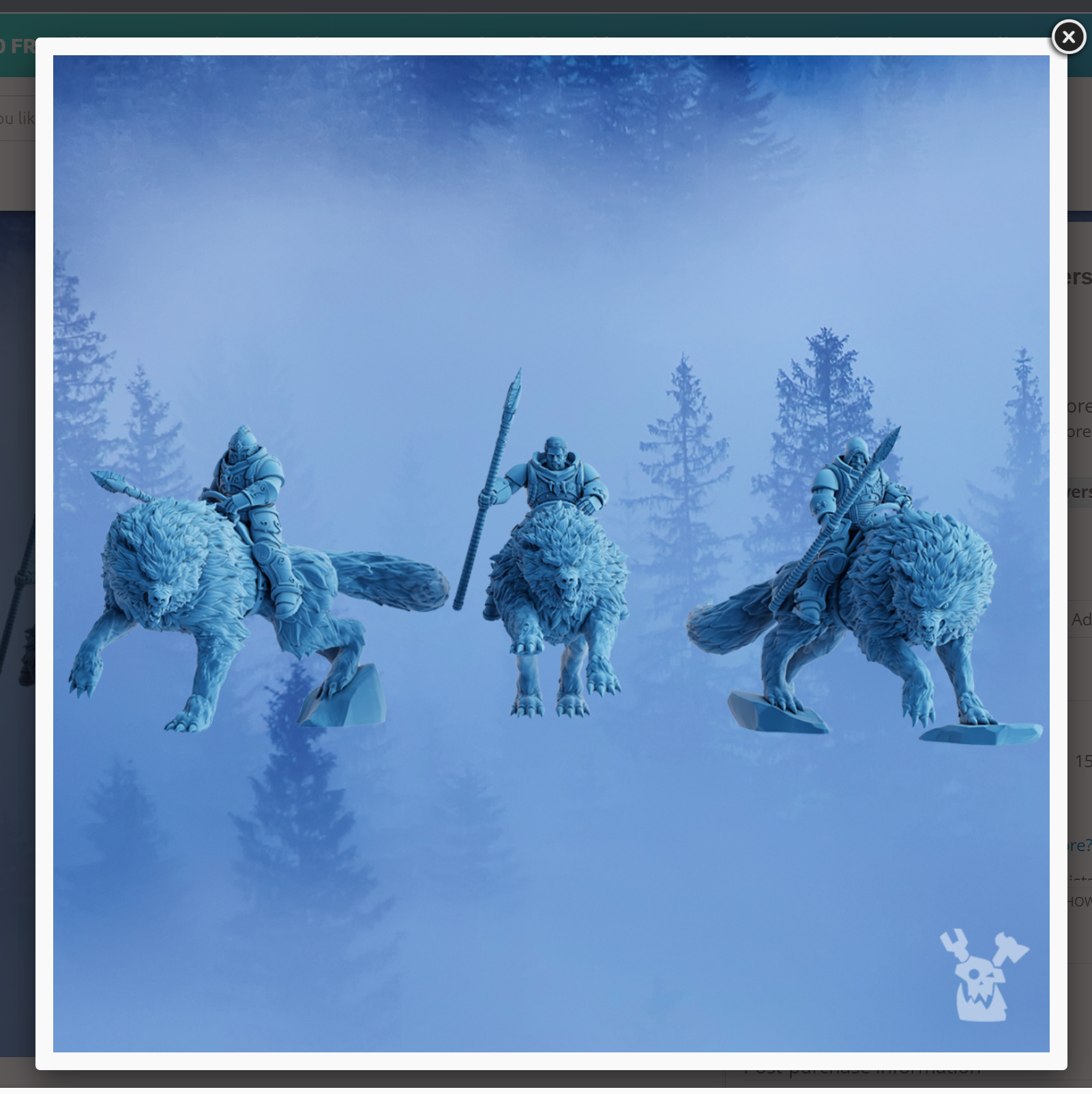 AE002357 Escuadra de Wolfriders -- DakkaDakka