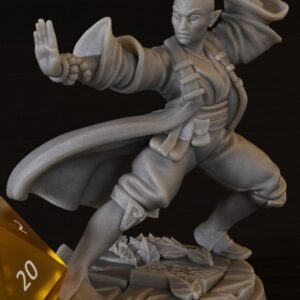 AE002516 Monje Elfo -- Rol