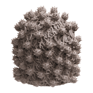 AE003240 Squidling Swarm -- Loot Studios