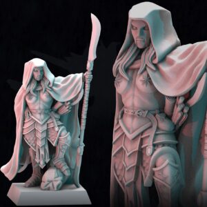 AE002849 Queen Maiden -- Last Swords