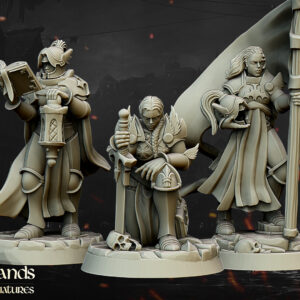 AE002631 Warrior of the lady (con Comand Group) -- Highlands