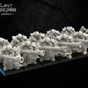 AE003739 Arcabuceros Enanos del Caos -- Lost Kingdom