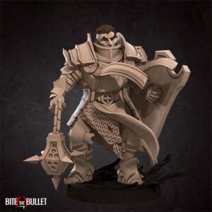 AE003809 Heroe Crusader -- Bullet Hell