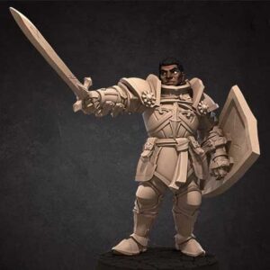 AE003811 Heroe Paladin -- Bullet Hell