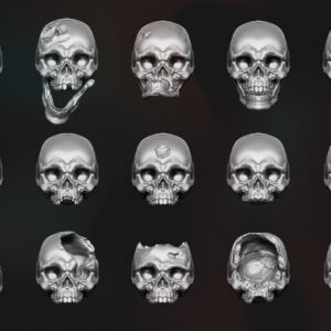 AE003970 Skulls Blightbones -- Bits