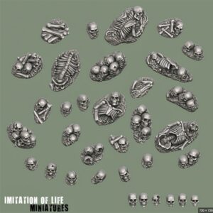AE003969 Skeleton Bases -- Bits