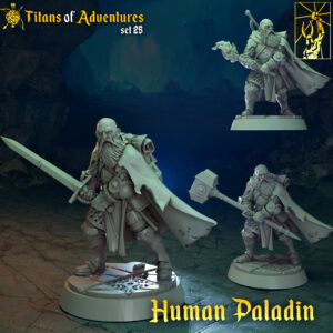 AE004350 Igor, Paladín humano -- Rol