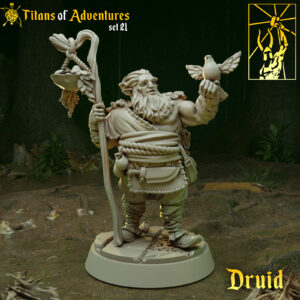 AE004357 Finax El Druida -- Rol