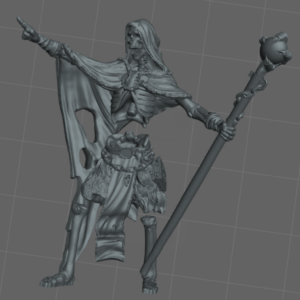 AE004935 Skeleton Mage -- Rol